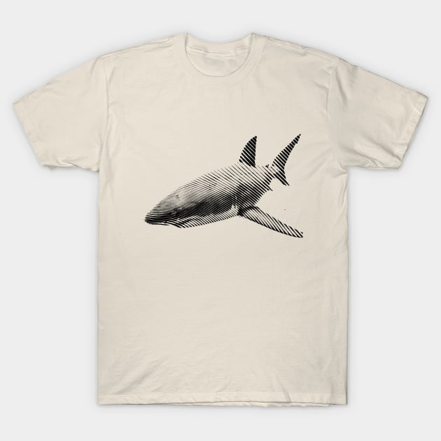 Minimalist Black and White Great White Shark T-Shirt by NorthOfLongIsland